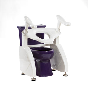 A toilet lift