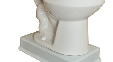 How To Install A Dignity Lift on A Super-Tall Toilet