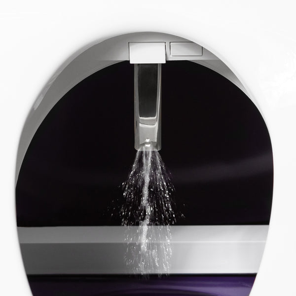 Dignity Lifts - Bidet Toilet Lift - In Stock, Ships Now