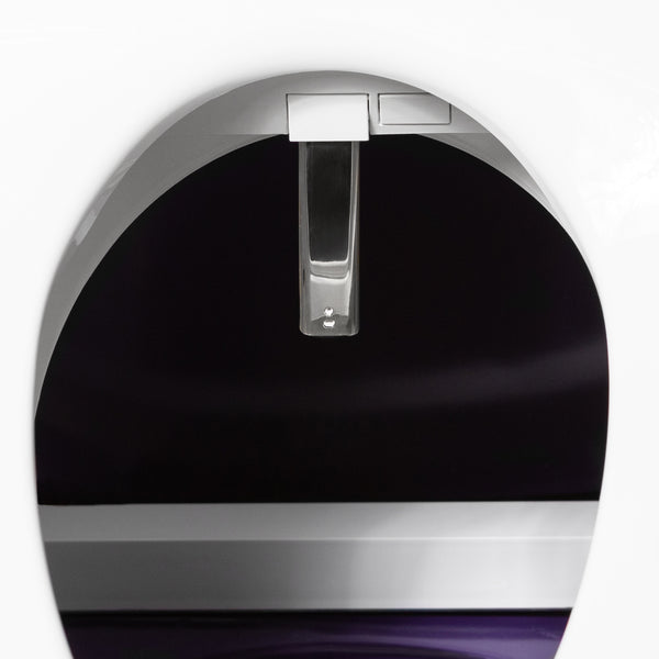 Dignity Lifts - Bidet Toilet Lift - In Stock, Ships Now